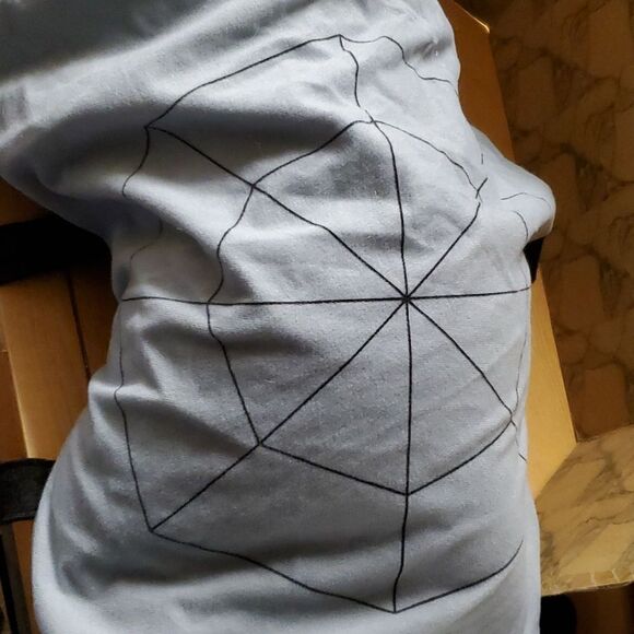 Halloween spider costume for a large dog - Picture 3 of 9